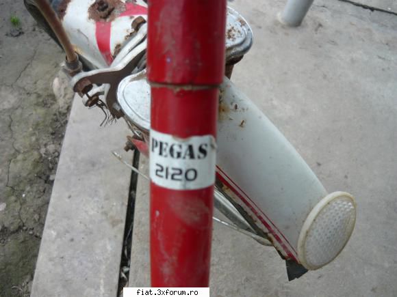 poza4 pegas