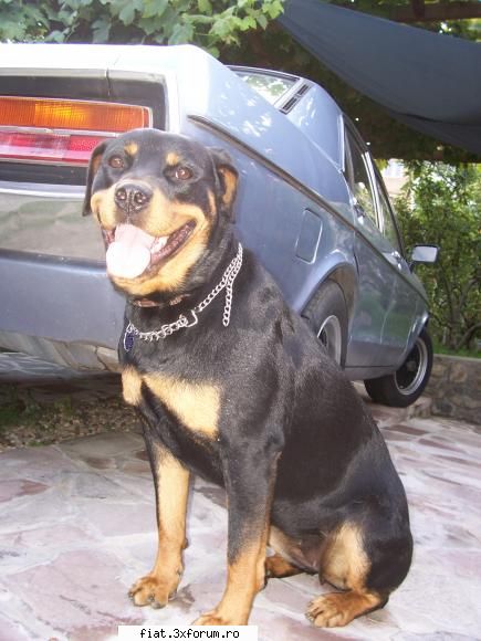 retro car - si din spate..cu fetita!!! - Alte marci
