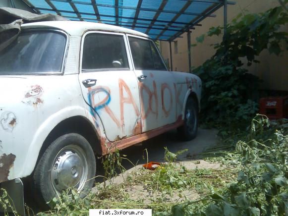 se vine Fiat 1100 D - 1964 - Salut , se vine Fiat 1100 D din 1964 , alb - Bursa