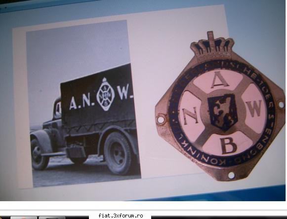 vand emblema olandeza inox - dulapulcujucarii - Anunturi